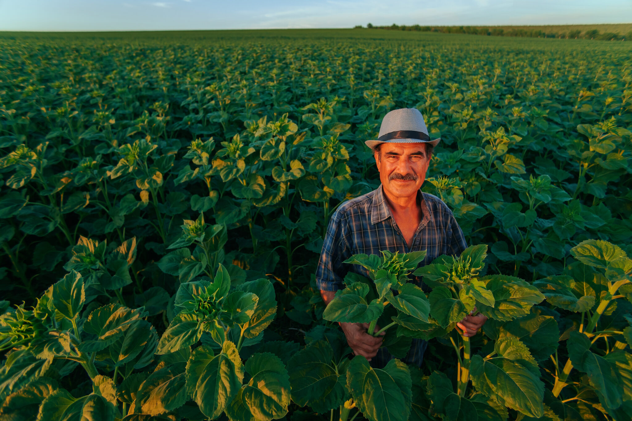 Regenerative farming